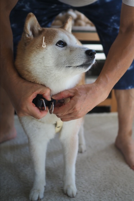 14日夕ブログ７