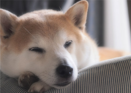 24日ブログ5.jpg