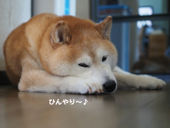 28日午前ブログ４