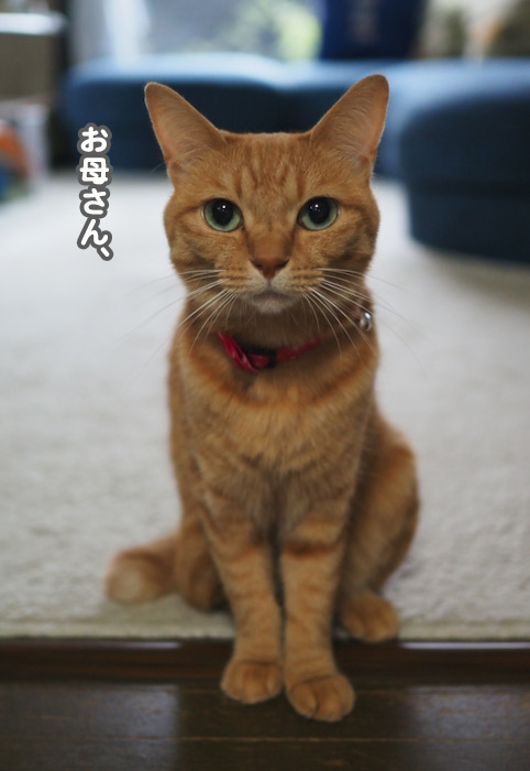 2日夕ブログ２
