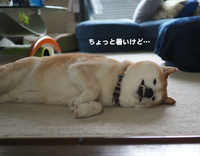 28日ブログ２