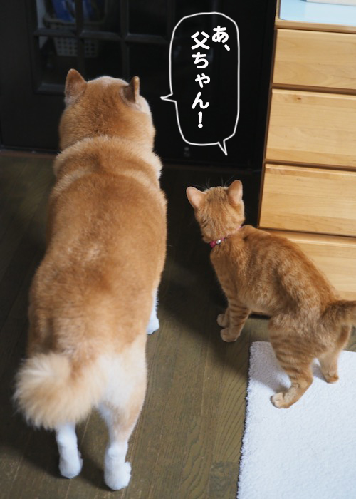 10日ブログ１
