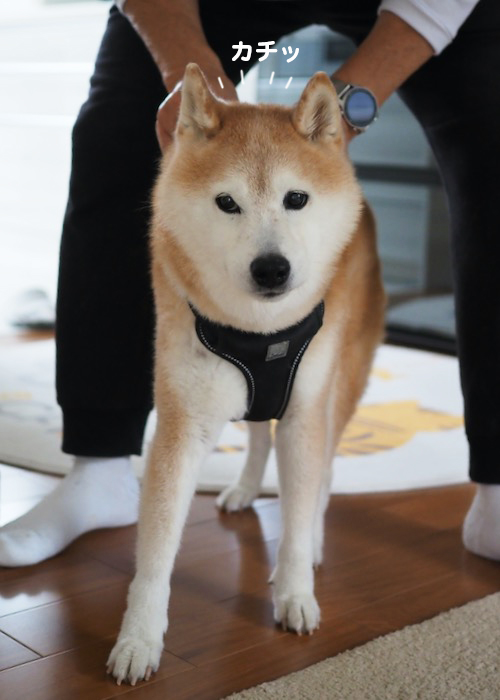 15日ブログ２