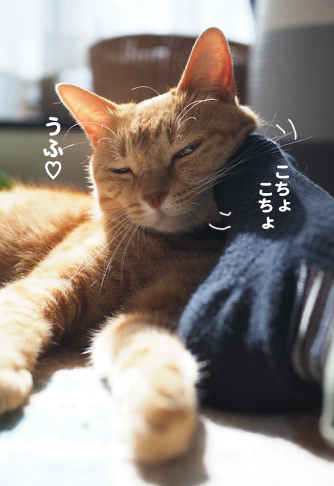 12日ブログ４