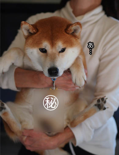 26日ブログ8.jpg