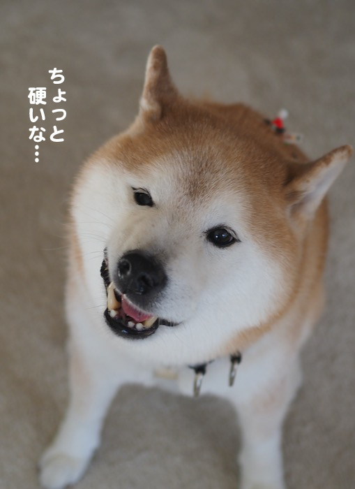 8日ブログ9