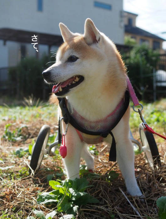 8日ブログ２