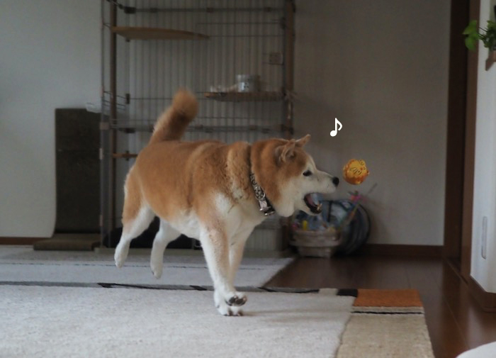 11日ブログ４