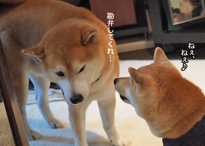 16日ブログ９