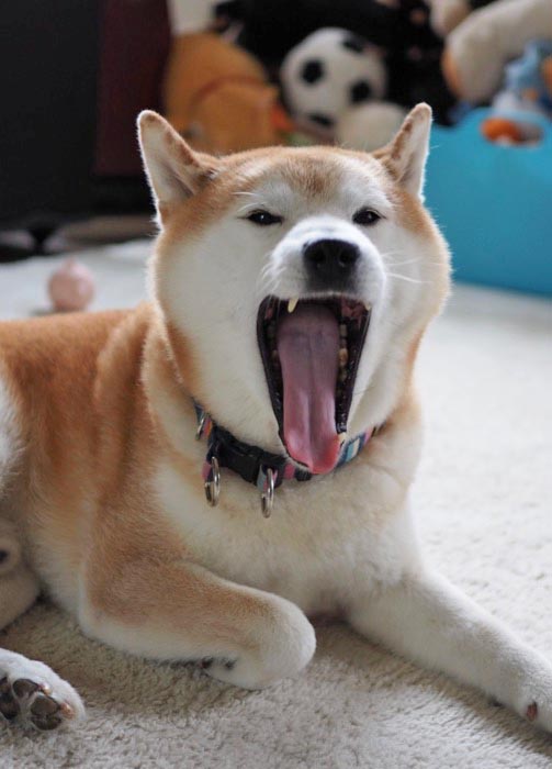 3日ブログ３