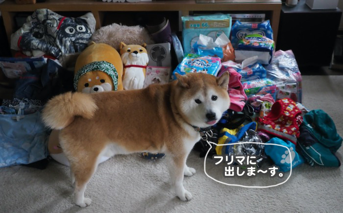 25日夕ブログ２
