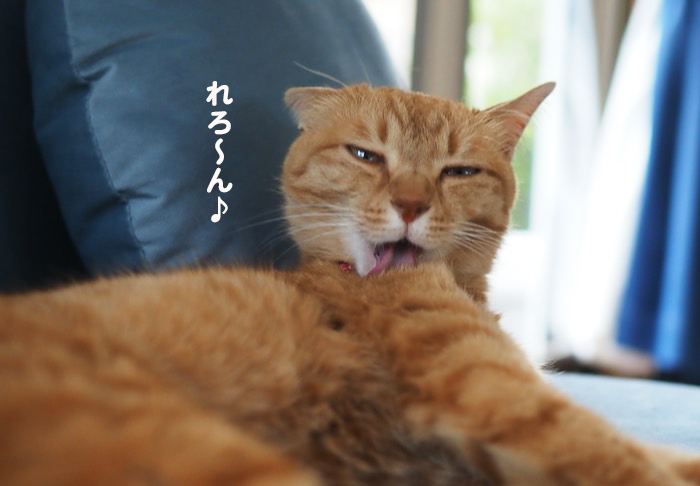 28日夕ブログ９