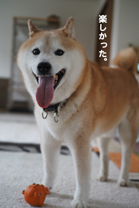 1日夕ブログ３