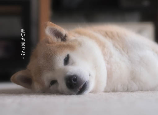 24日ブログ4.jpg