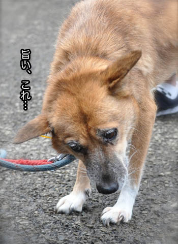 23日ブログ7.jpg