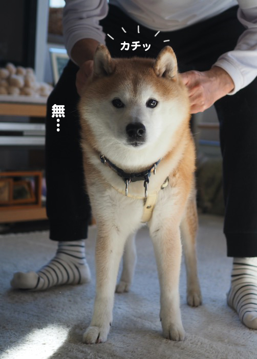 26日ブログ６
