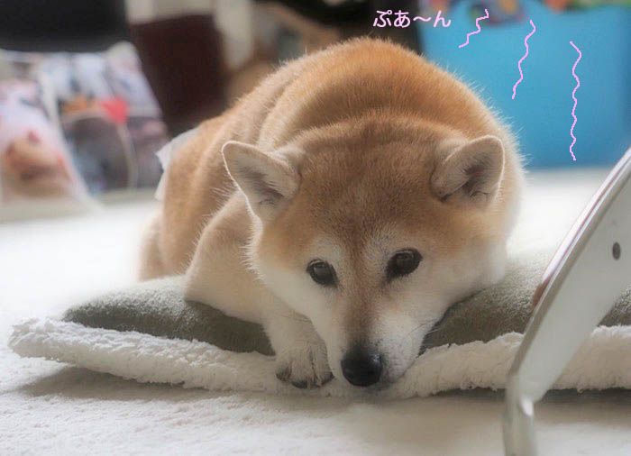 8日ブログ６
