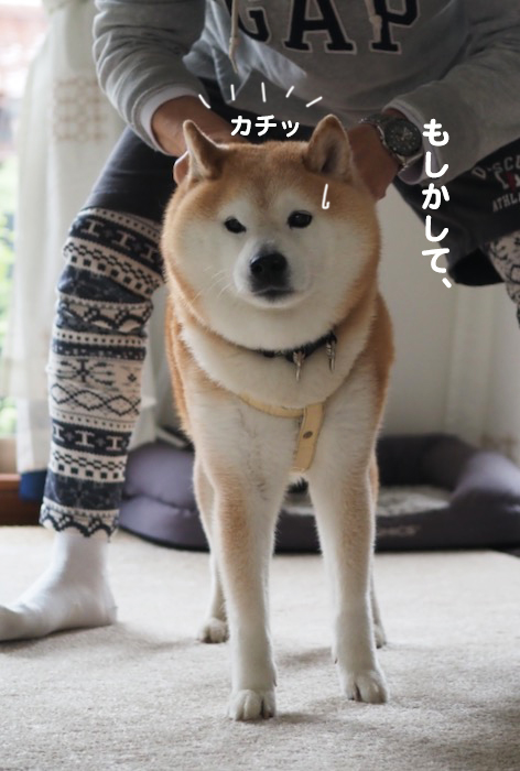 20日ブログ８
