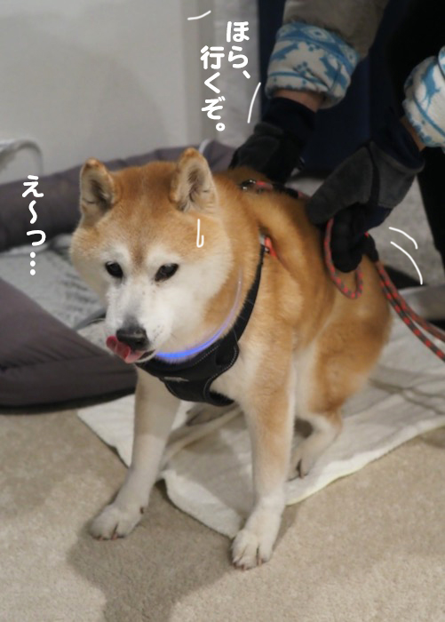 27日夜ブログ５