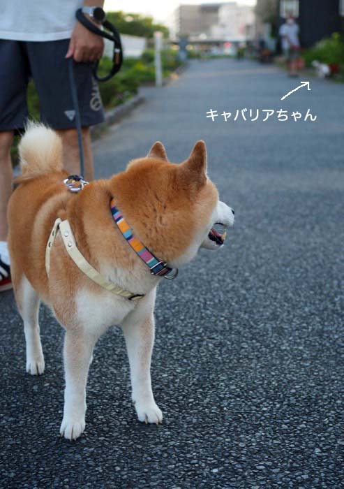 27日ブログ５