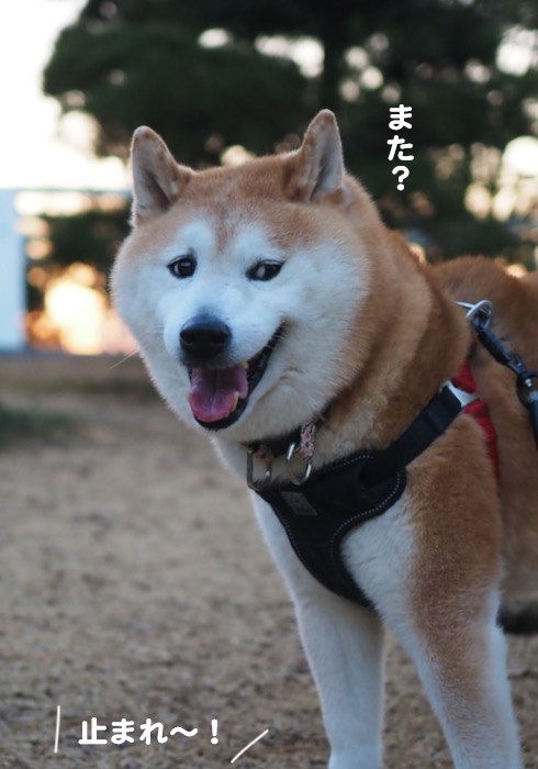 18日夕ブログ２