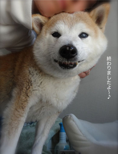 26日ブログ3.jpg