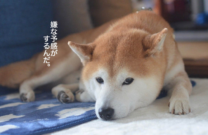 27日ブログ3