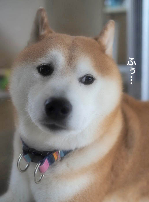 23日ブログ６