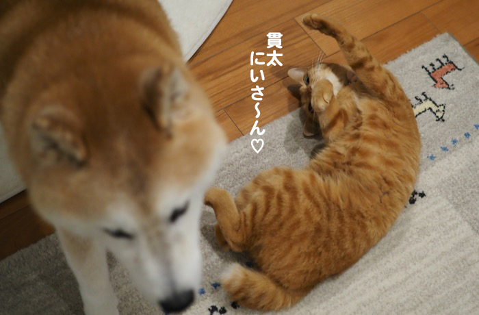 23日ブログ４
