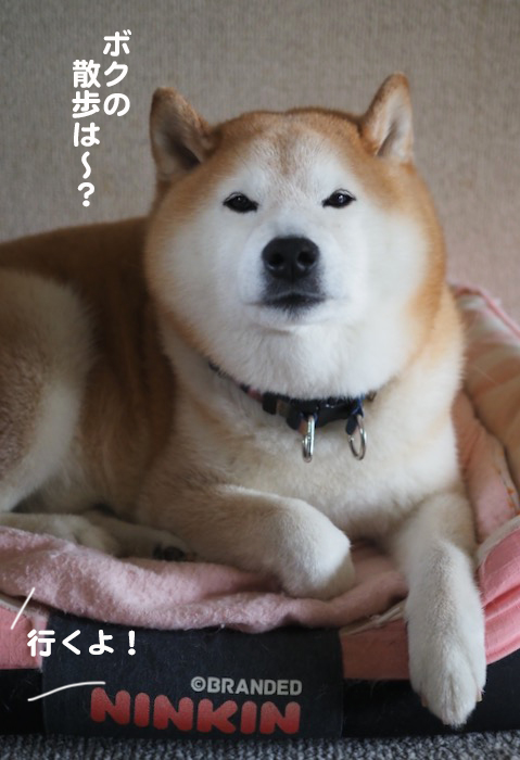28日夕ブログ９