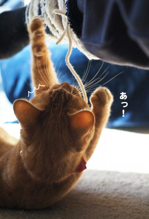 9日夜ブログ１０
