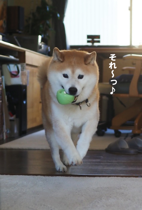 26日夕ブログ５