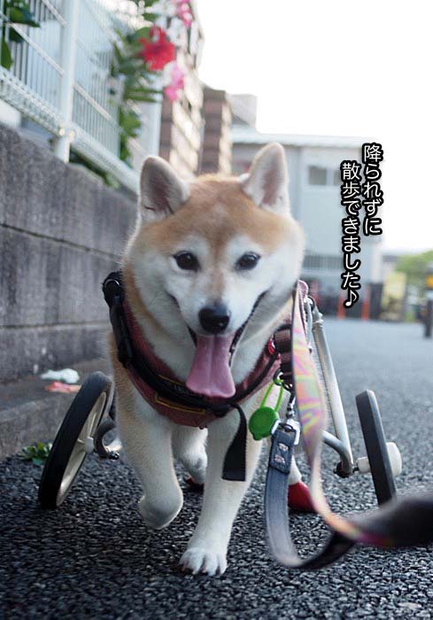 7日ブログ２