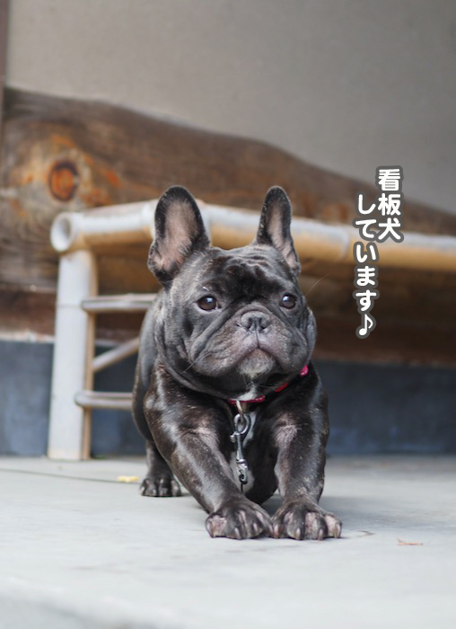 25日夕ブログ３０