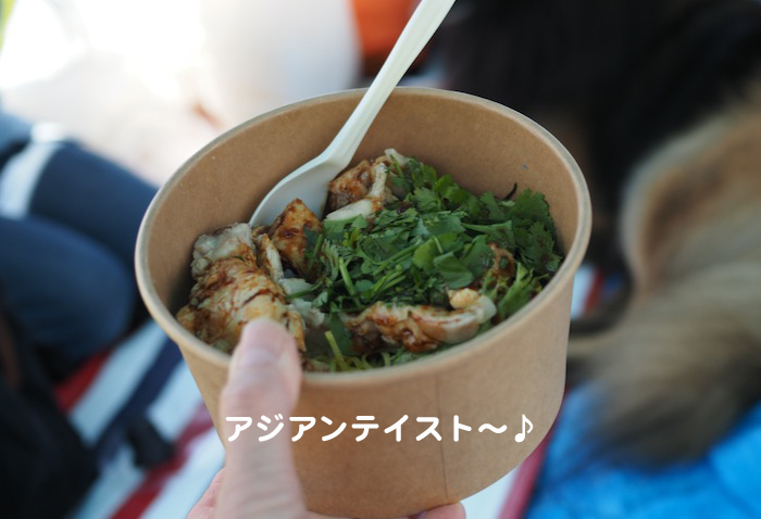 13日夕ブログ５
