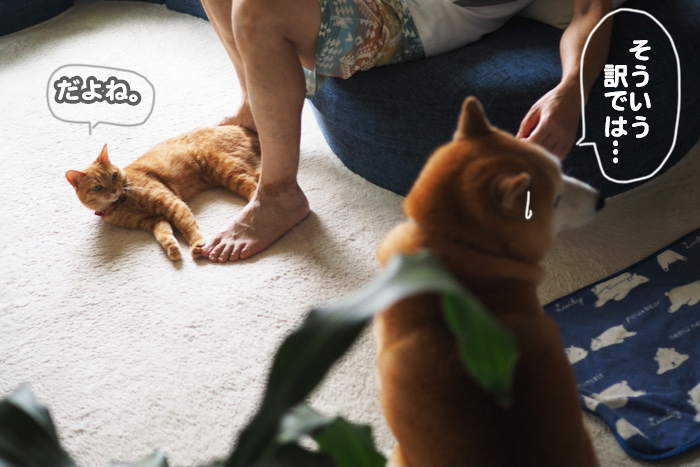 12日夕ブログ６