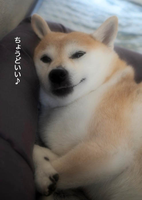 7日ブログ３