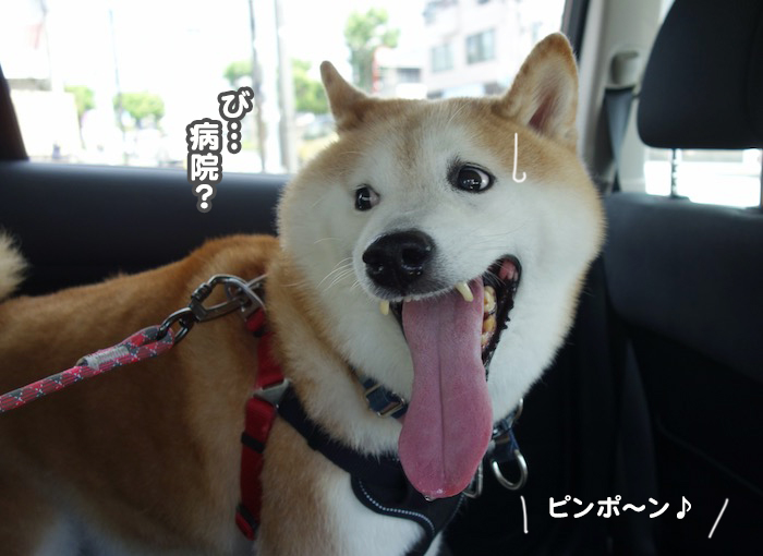 27日夕ブログ４