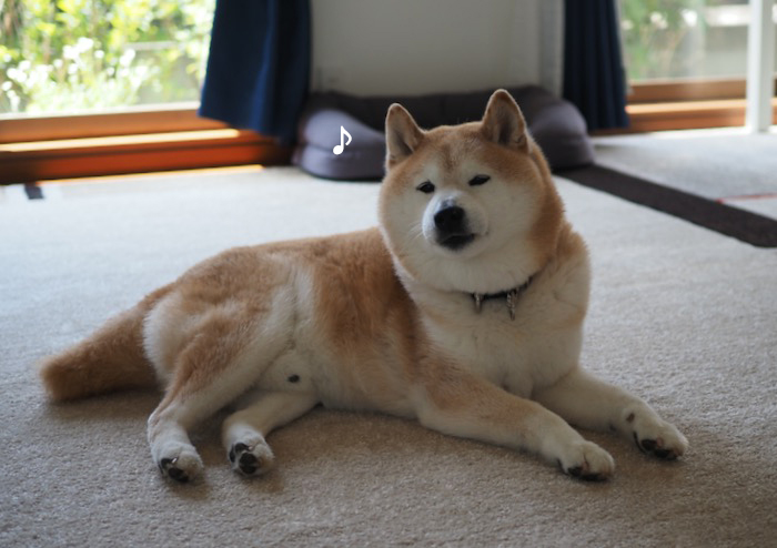 18日夕ブログ２