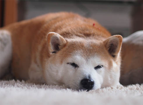 18日ブログ11.jpg