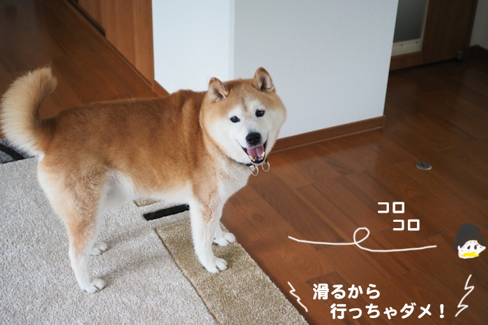23日夕ブログ４