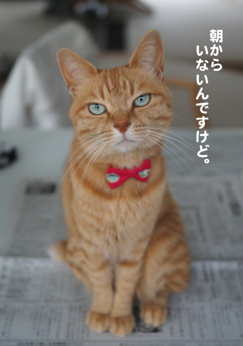 11日ブログ３