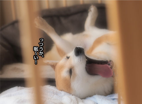 14日ブログ11.jpg