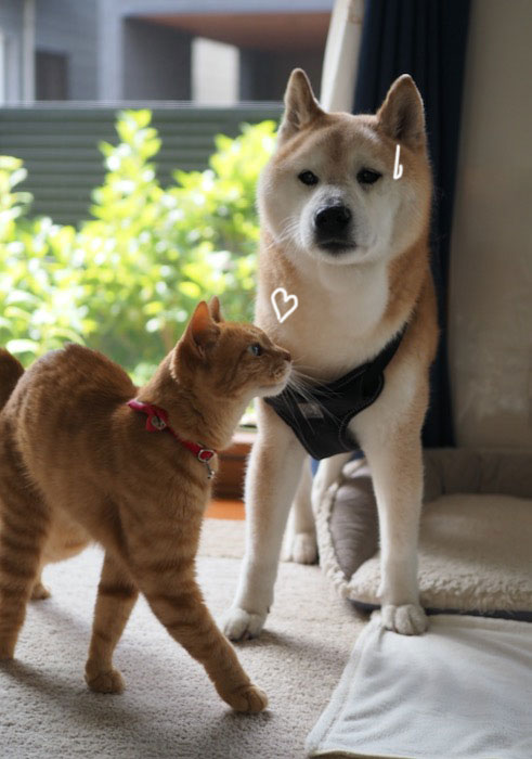 10日夕ブログ７