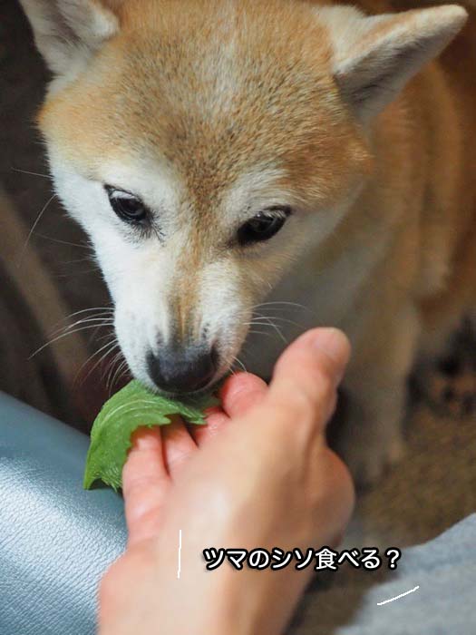 23日夜ブログ９