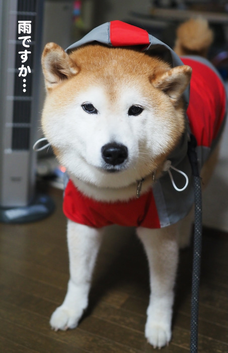 24日ブログ２