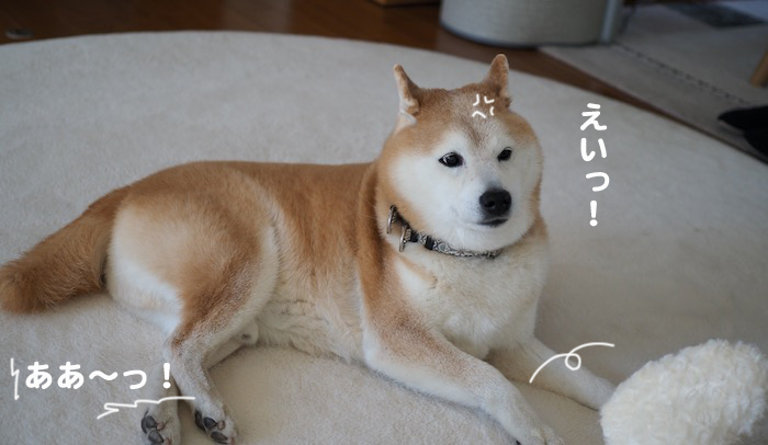 15日夕ブログ４