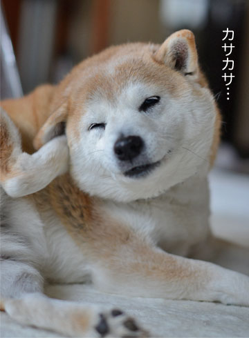 25日ブログ6.jpg