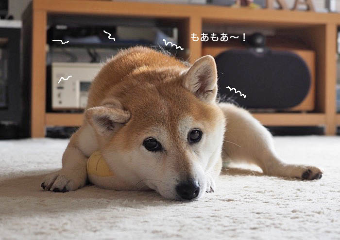3日夜ブログ２