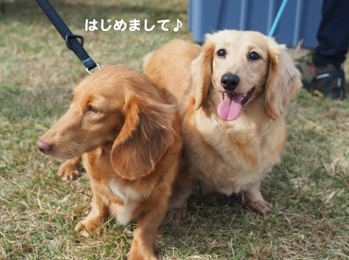 15日夕ブログ12